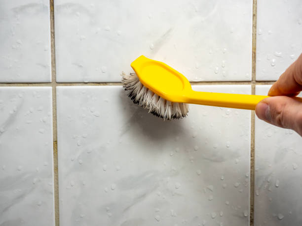 Best Mold Removal Company Near Me  in Ritzville, WA