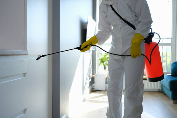 Best Attic Mold Removal  in Ritzville, WA