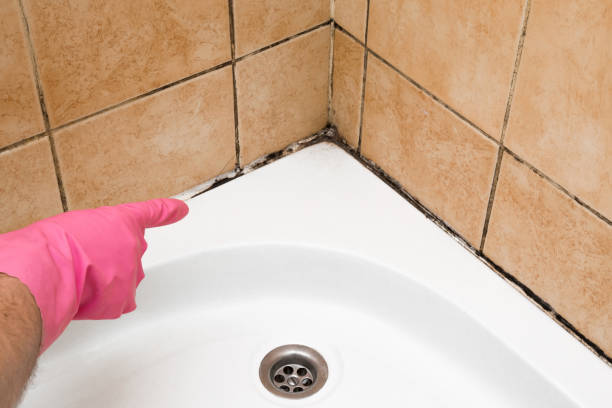 Best Mold Remediation  in Ritzville, WA